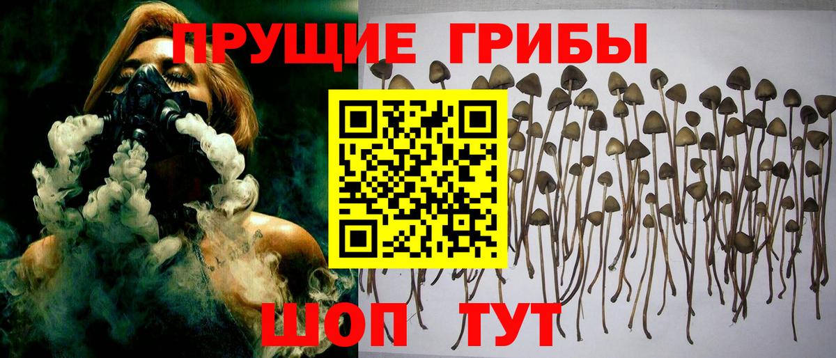 Лянтор  Галлюциногенные грибы Magic Shrooms  Вход с VPN 